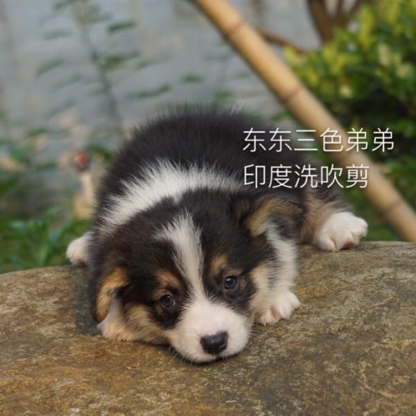 img_1282_看图王.jpg