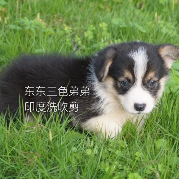 img_1284_看图王.jpg
