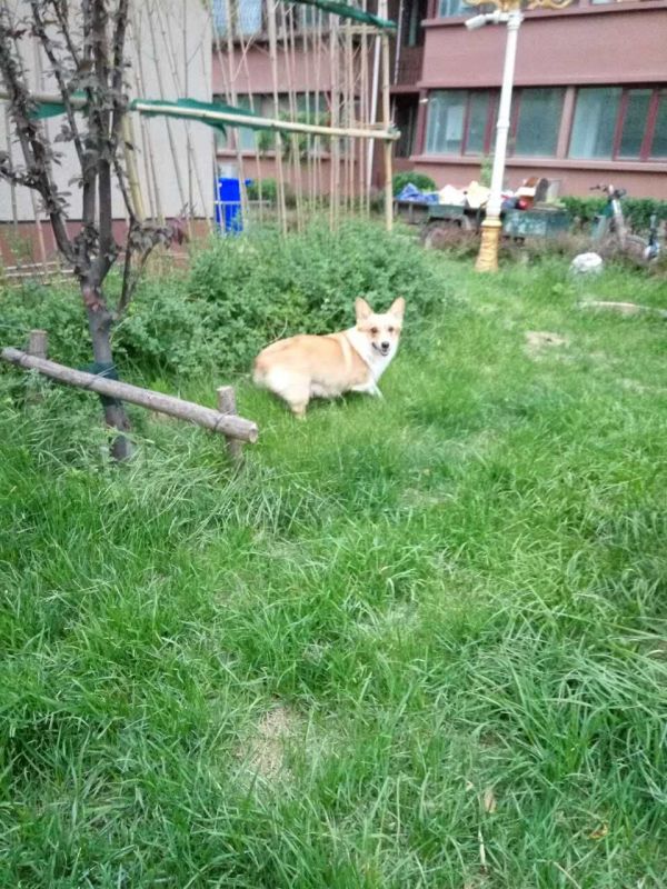 奥利.jpg