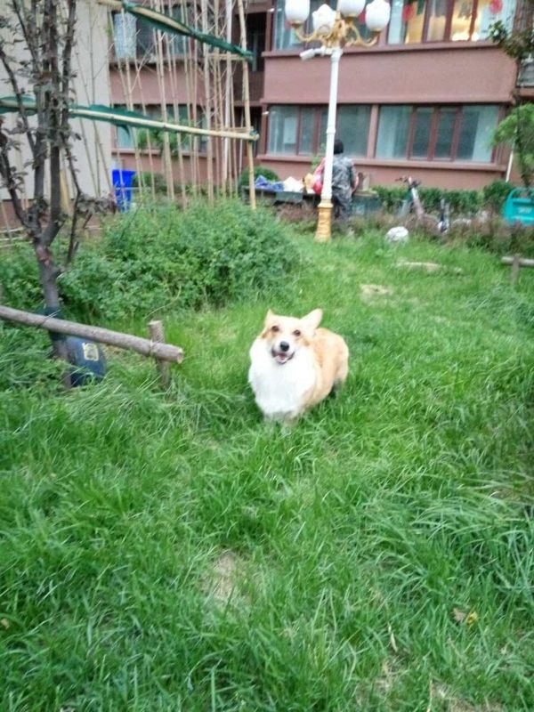 奥利1.jpg
