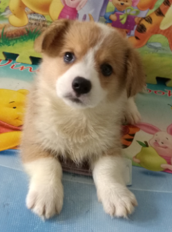 QQ图片20160621122719.png