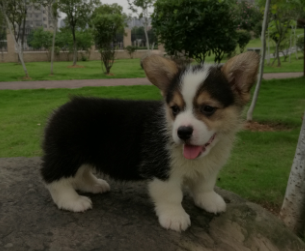QQ图片20160621122751.png