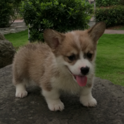 QQ图片20160621122807.png