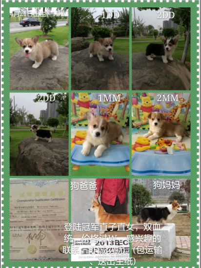 QQ图片20160621122858.png