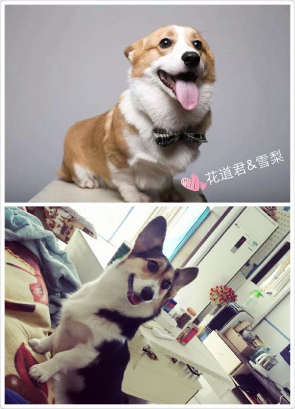 QQ图片20160615150741.jpg