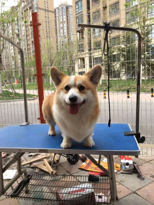QQ图片20160506142249.jpg