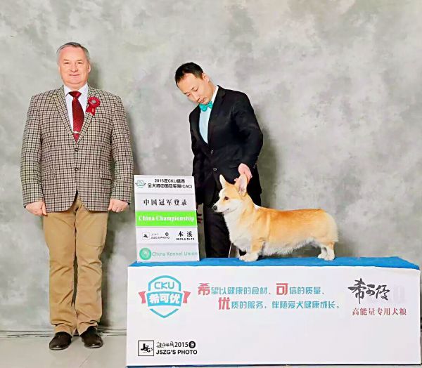 163505p5e24vsl92puo6q5.jpg.thumb.jpg