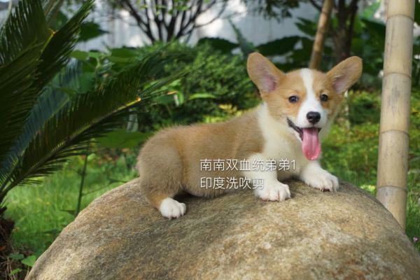 QQ图片20160624001404.jpg