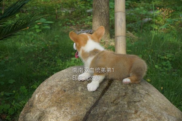 QQ图片20160624001409.jpg