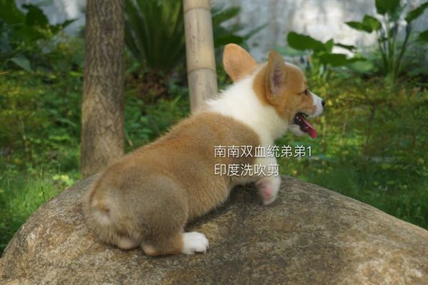 QQ图片20160624001414.jpg