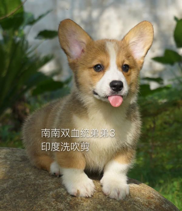 QQ图片20160624001420.jpg