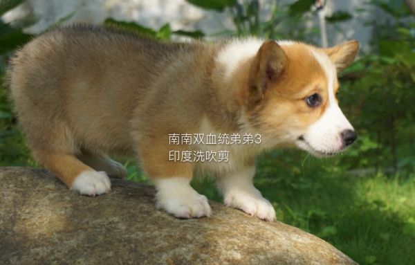 QQ图片20160624001427.jpg