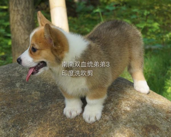 QQ图片20160624001431.jpg