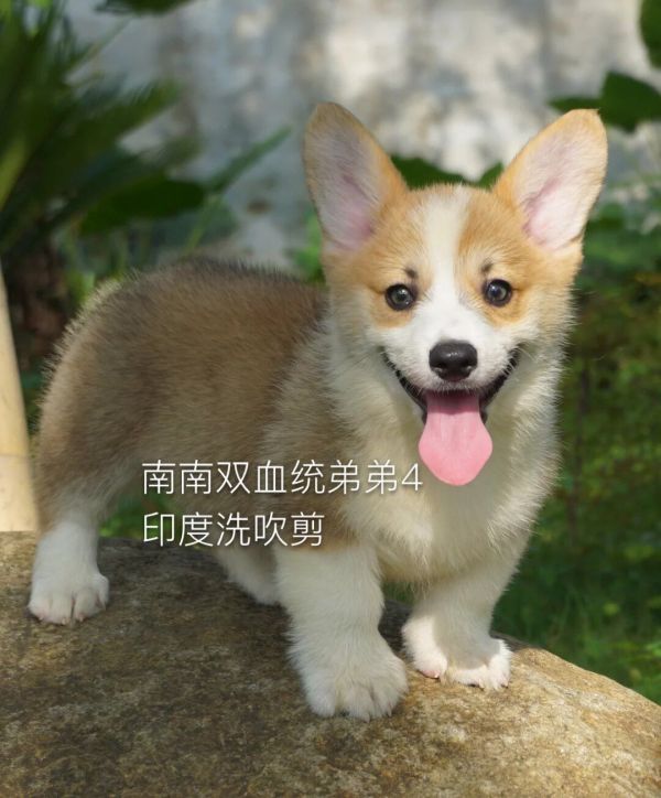QQ图片20160624001435.jpg