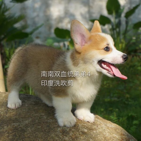 QQ图片20160624001439.jpg
