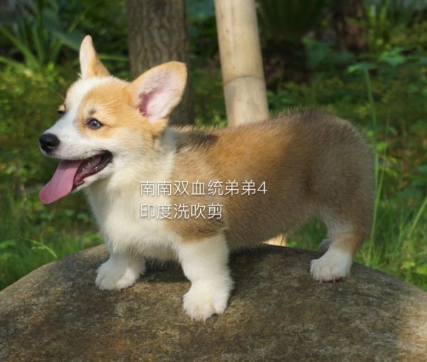 QQ图片20160624001443.jpg
