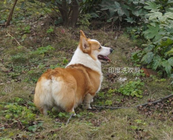 QQ图片20160624001555.jpg