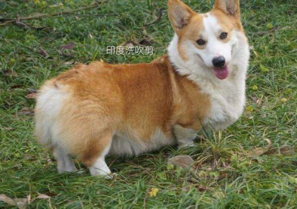 QQ图片20160624001551.jpg