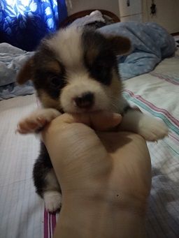 IMG20160622102618.jpg
