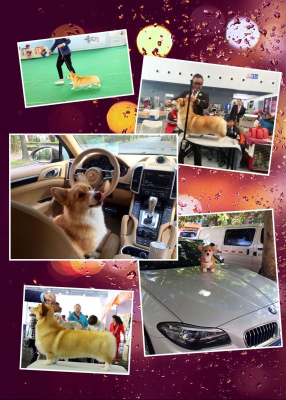 QQ图片20160701160109.jpg