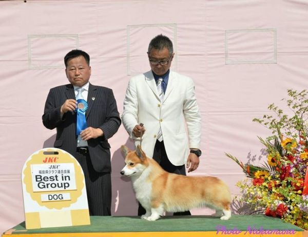QQ图片20160701155309.jpg
