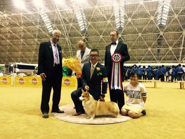 QQ图片20160701155335.jpg