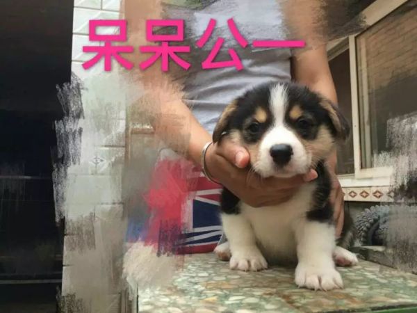 公二.jpg
