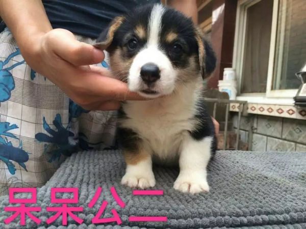 公三.jpg