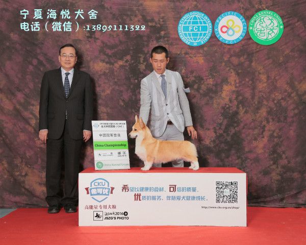JS036100－2000_meitu_1.jpg