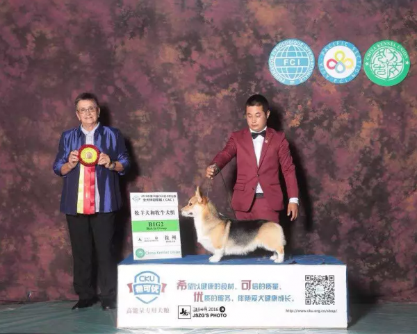 QQ图片20160606170407.png