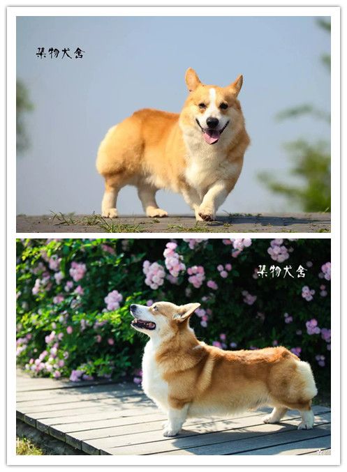 initpintu_副本.jpg