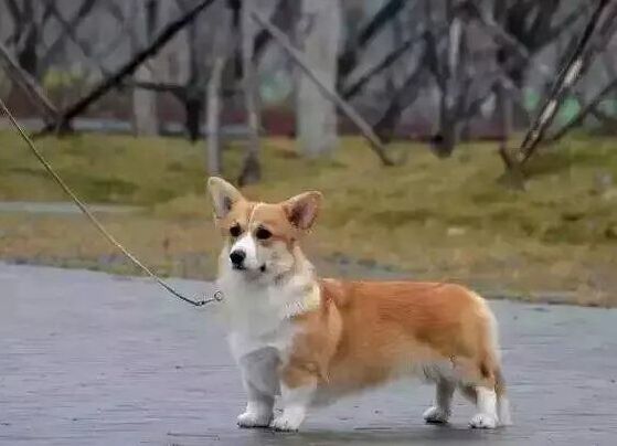 月亮3_副本.jpg