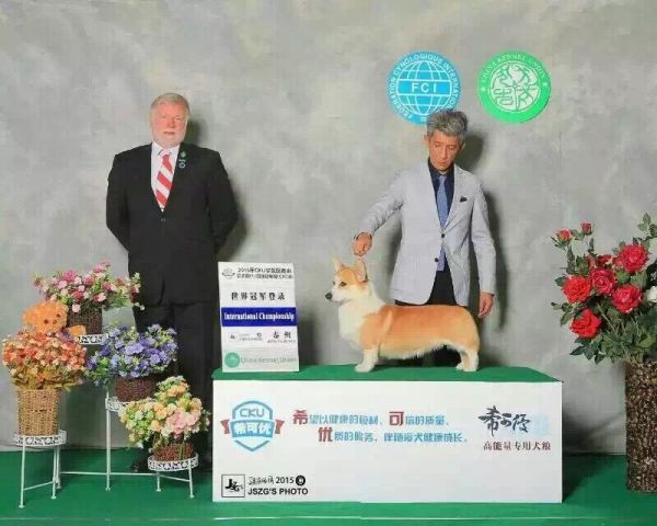 BOBO世界登录照片1.jpg