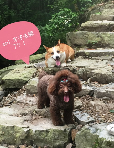 QQ截图20160616175622.png