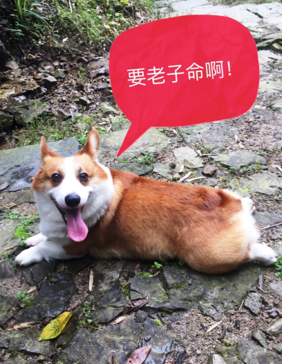 QQ截图20160616175810.png