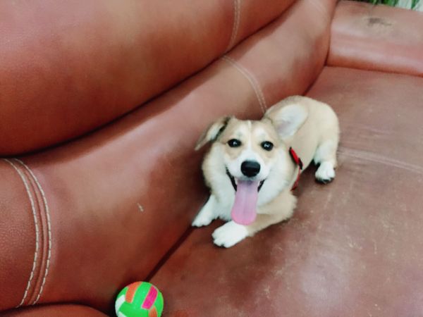 QQ图片20160617110913.jpg