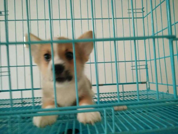164589853827156697.jpg