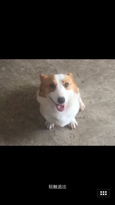 截屏_20160620_095159.png