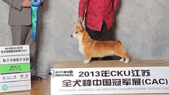 2014-10-08 00.43.04.png