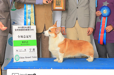 QQ截图20140430153516.png