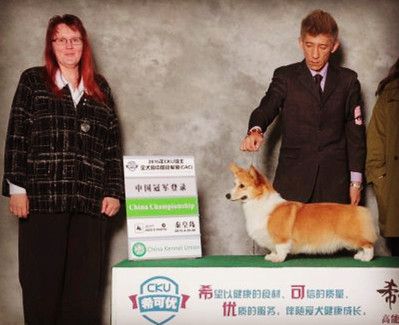 依依登录照.jpg