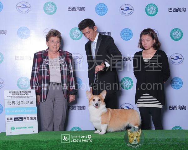 喜美世界登录.jpg