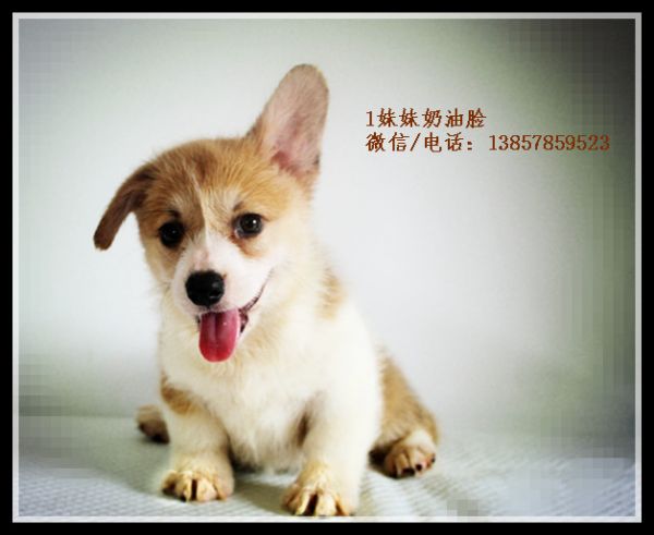 IMG_0885_副本_副本1.jpg