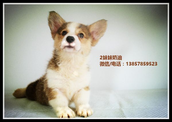IMG_0945_副本_副本1.jpg