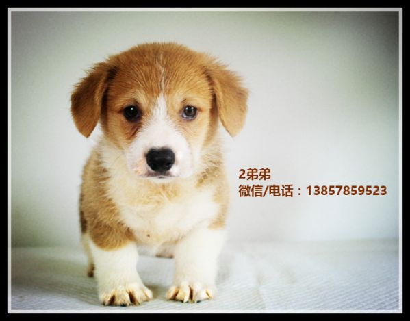 IMG_0994_副本_副本1.jpg