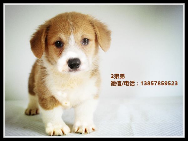 IMG_0999_副本_副本1.jpg