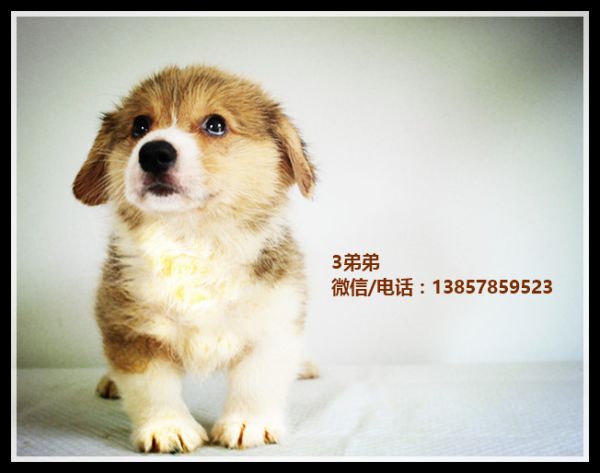 IMG_1002_副本_副本1.jpg
