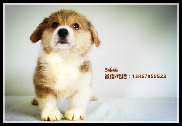 IMG_1003_副本_副本1.jpg