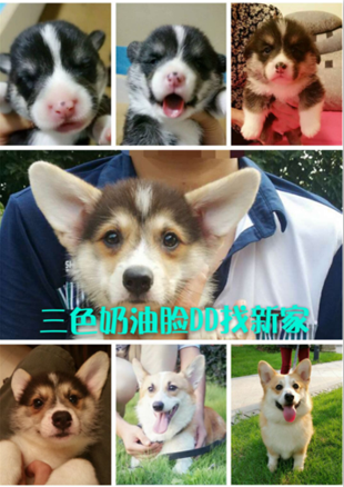 QQ图片20160713182649.png
