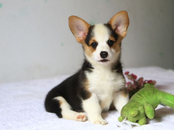 IMG_2962.jpg